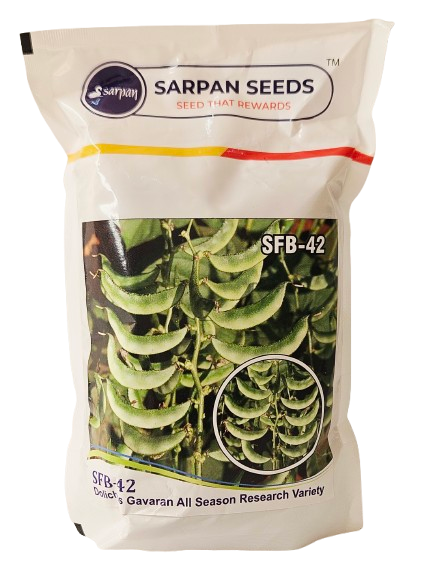 Beans Sarpan SFB-42 Seeds Online India – Dhartibeej