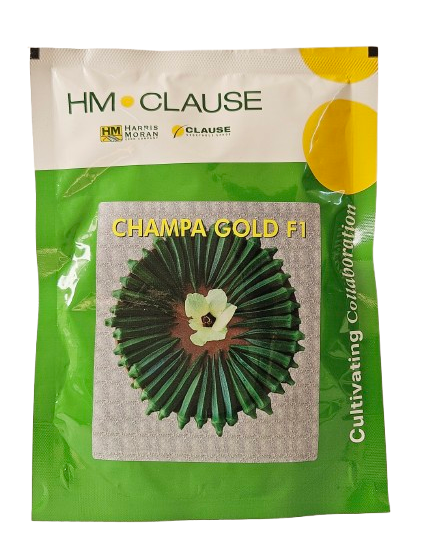 Bhendi Clause Champa Gold Seeds for High Yield Farming – Dhartibeej