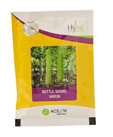 Bottle Gourd Rasi Varun Seeds Online India – Dhartibeej
