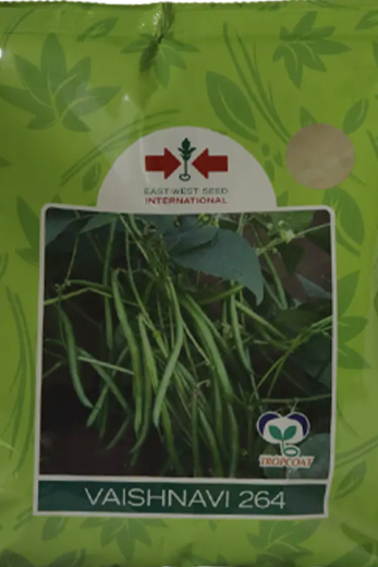 Beans East West Vaishnavi 264 Seeds for High Yield Farming – Dhartibeej
