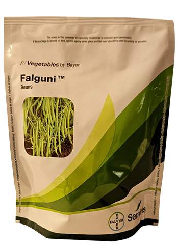 Beans Monsanto Falguni Seeds Online India – Dhartibeej
