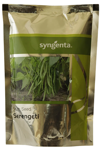 Buy Beans Syn Serengeti Seeds Online in India – Dhartibeej
