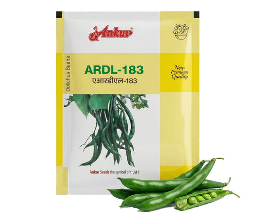 Beans Ankur ARDL-183 Seeds Online | Dhartibeej