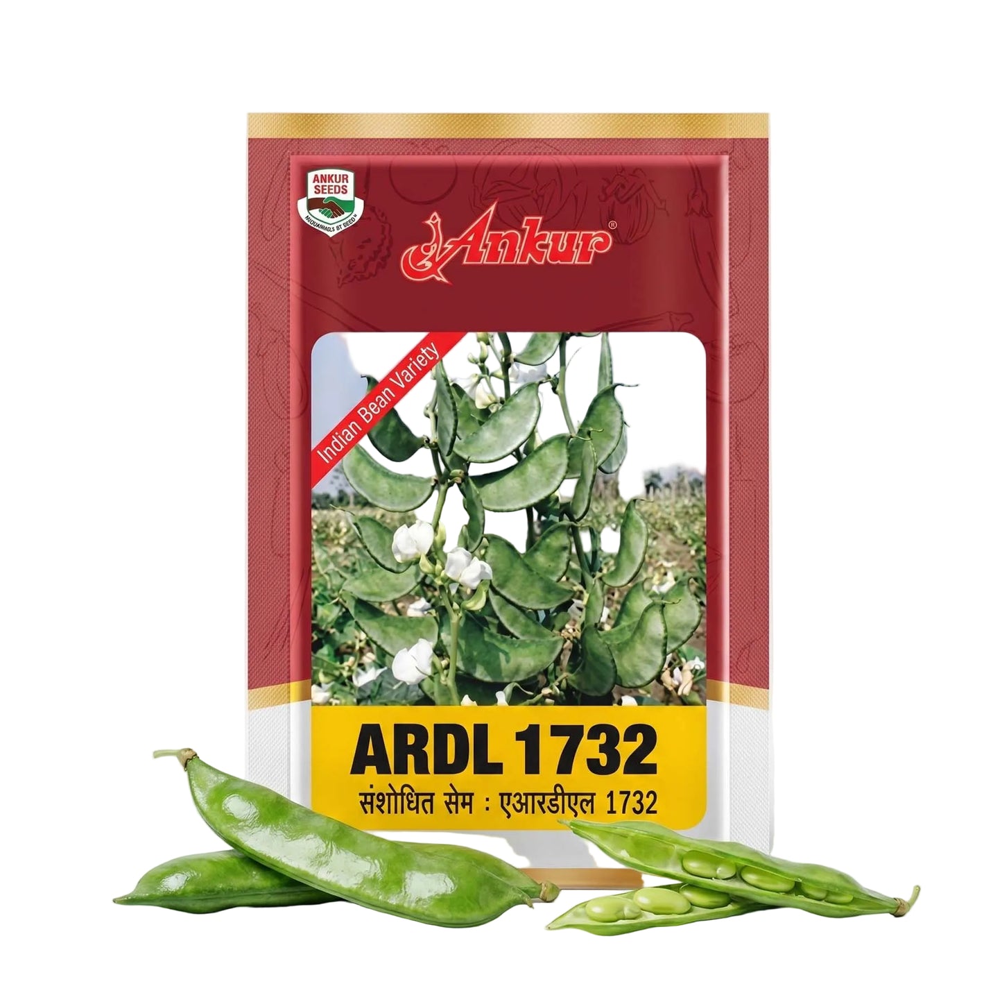 Beans Ankur ARDL 1732 Seeds Online | Dhartibeej