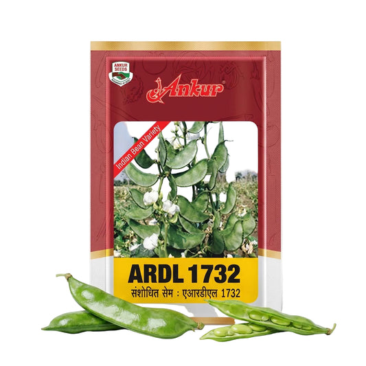 Beans Ankur ARDL 1732 Seeds Online | Dhartibeej
