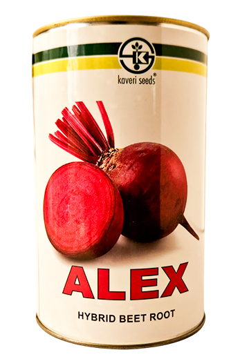 Beetroot Kaveri Alex Seeds Online India – Dhartibeej
