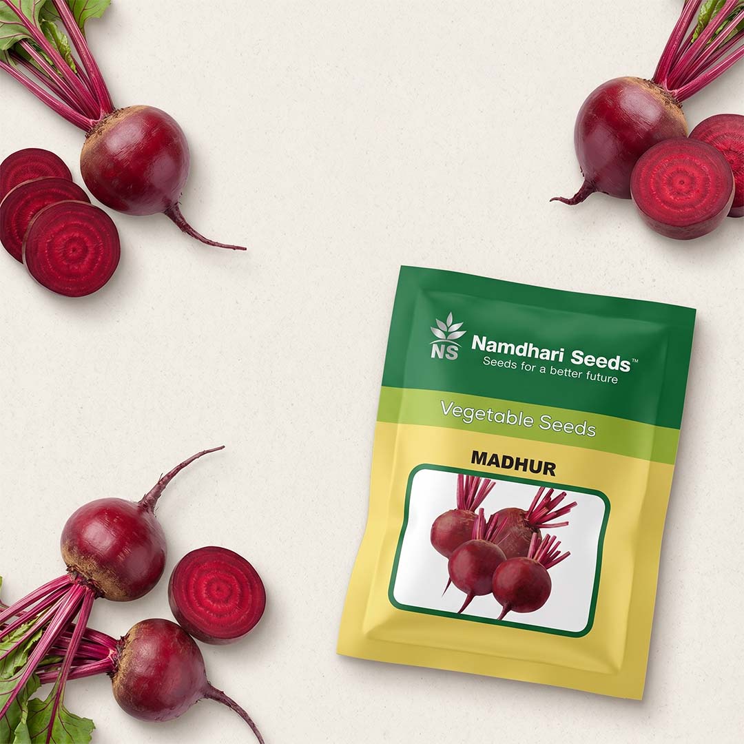 Beetroot Ns Madhur Seeds Online | Dhartibeej