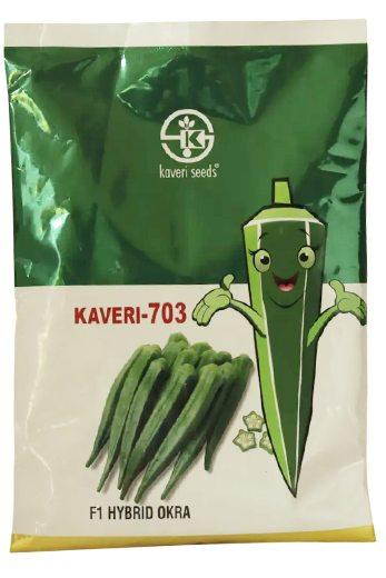 Buy Bhendi Kaveri Koh 703 Seeds Online in India – Dhartibeej
