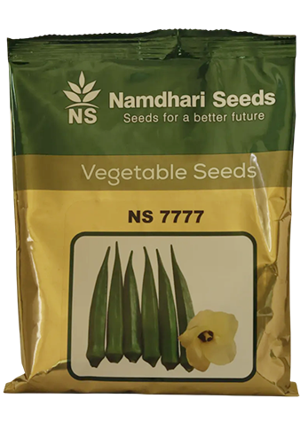 Buy Bhendi Ns-7777 Seeds Online in India – Dhartibeej
