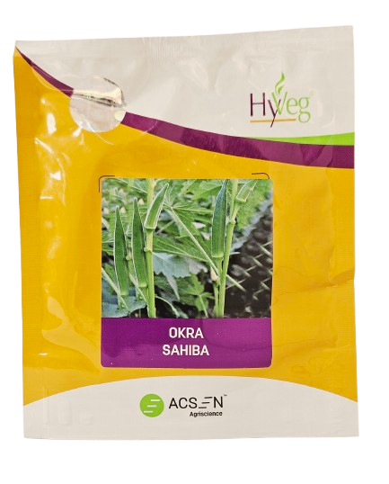 Buy Bhendi Rasi Sahiba Seeds Online in India – Dhartibeej