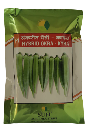 Bhendi Sun Agri Kyra Seeds for High Yield Farming – Dhartibeej
