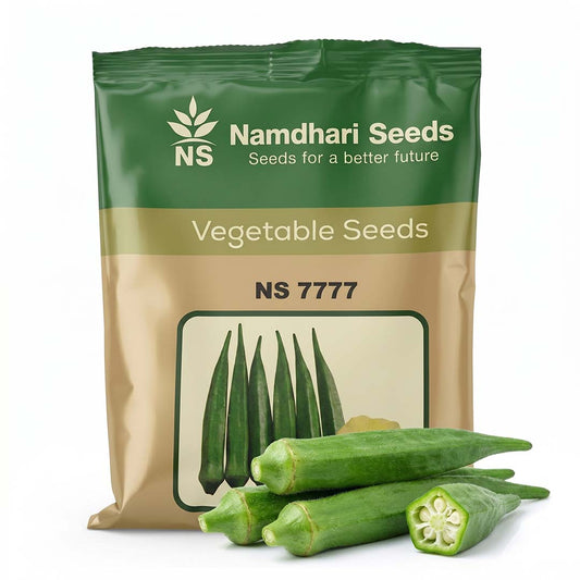 Bhendi Ns-7777 Seeds Online | Dhartibeej