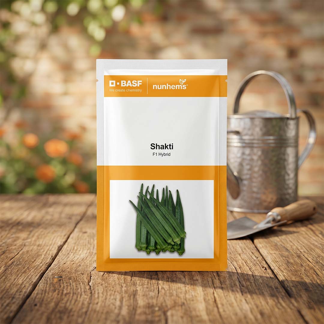 Bhendi Nunhems Shakti Seeds Online | Dhartibeej
