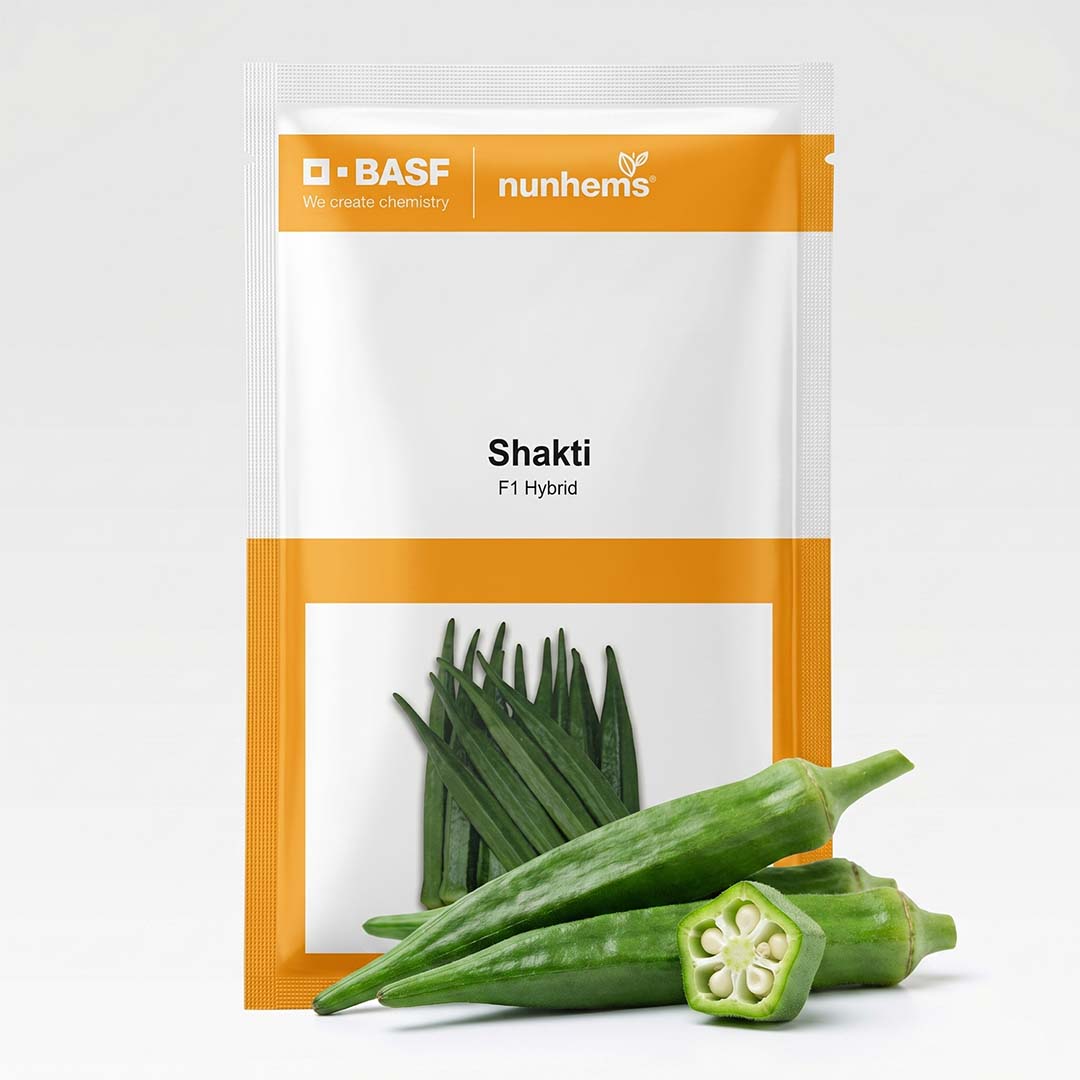 Bhendi Nunhems Shakti Seeds Online | Dhartibeej