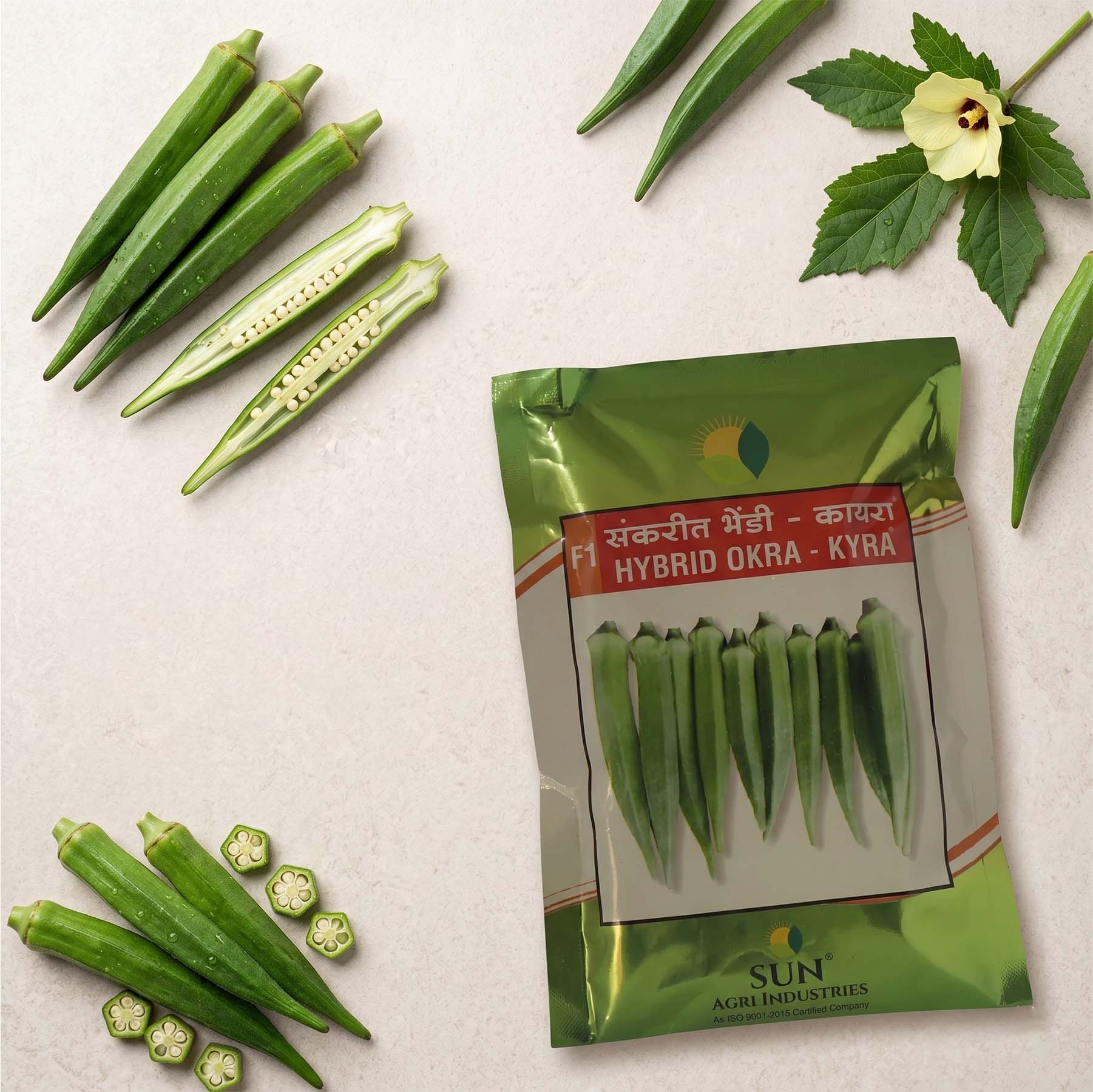 Bhendi Sun Agri Kyra Seeds for High Yield Farming | Dhartibeej