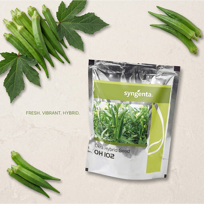 Bhendi Syn Oh -102 Seeds for High Yield Farming | Dhartibeej
