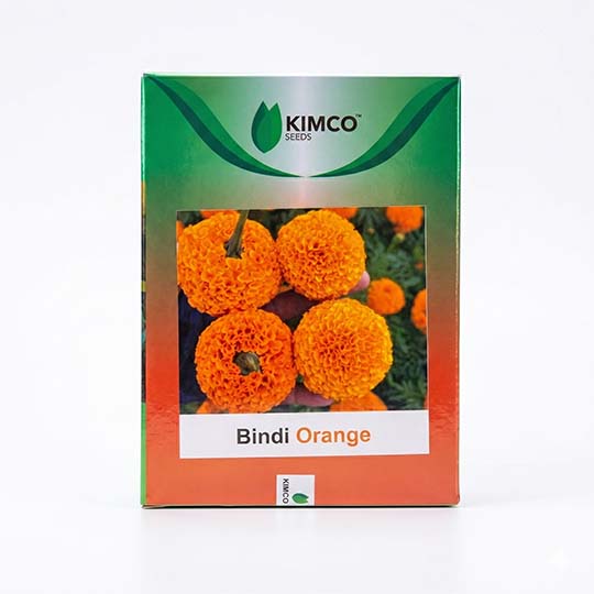 Marigold Kimco Bindi Orange