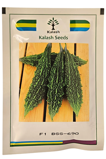 Buy Bitter Gourd Kalash Bss -690 Seeds Online in India – Dhartibeej
