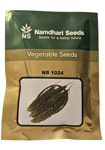 Buy Bitter Gourd Ns -1024 Seeds Online in India – Dhartibeej