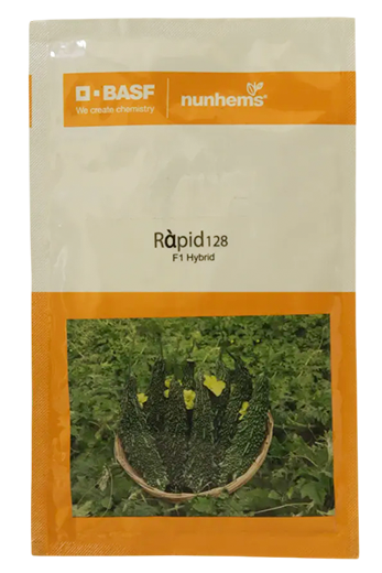 Bitter Gourd Nunhems Rapid 128 Seeds for High Yield Farming – Dhartibeej