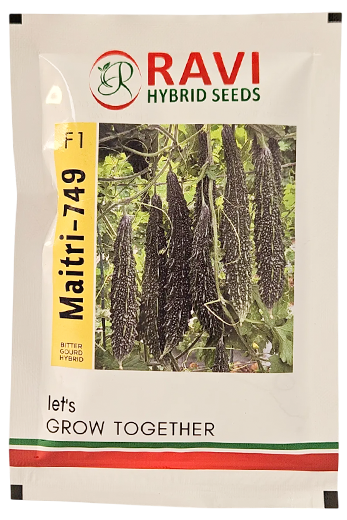 Bitter Gourd Ravi Maitri 749 Seeds Online India – Dhartibeej
