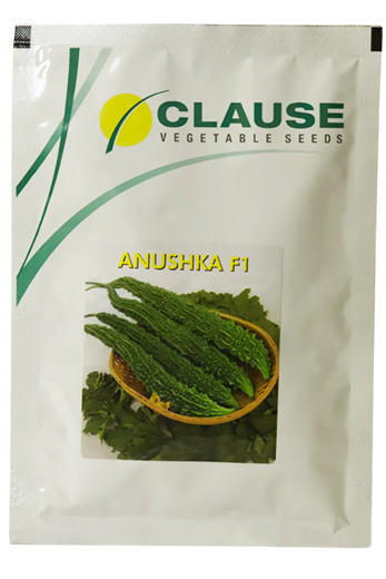 Buy Bitter Gourd Clause Anushka Seeds Online in India – Dhartibeej
