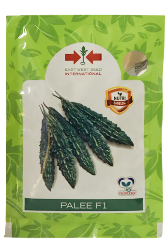 Bitter Gourd East West Palee Seeds for High Yield Farming – Dhartibeej
