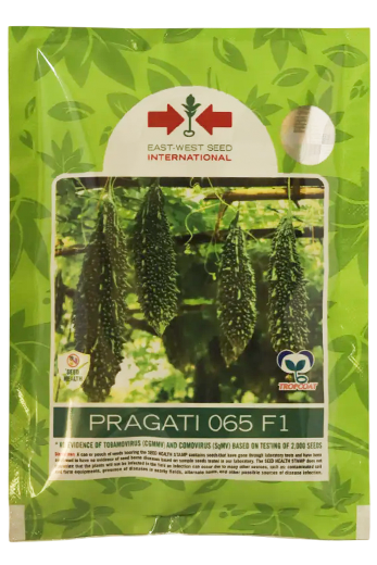 Bitter Gourd East West Pragati 065 F1 Seeds Online India – Dhartibeej
