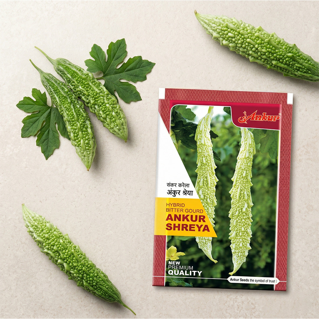 Bitter Gourd Ankur Shreya Seeds Online | Dhartibeej