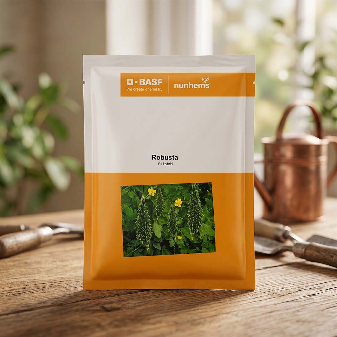 Bitter Gourd Nunhems Robusta Seeds Online | Dhartibeej