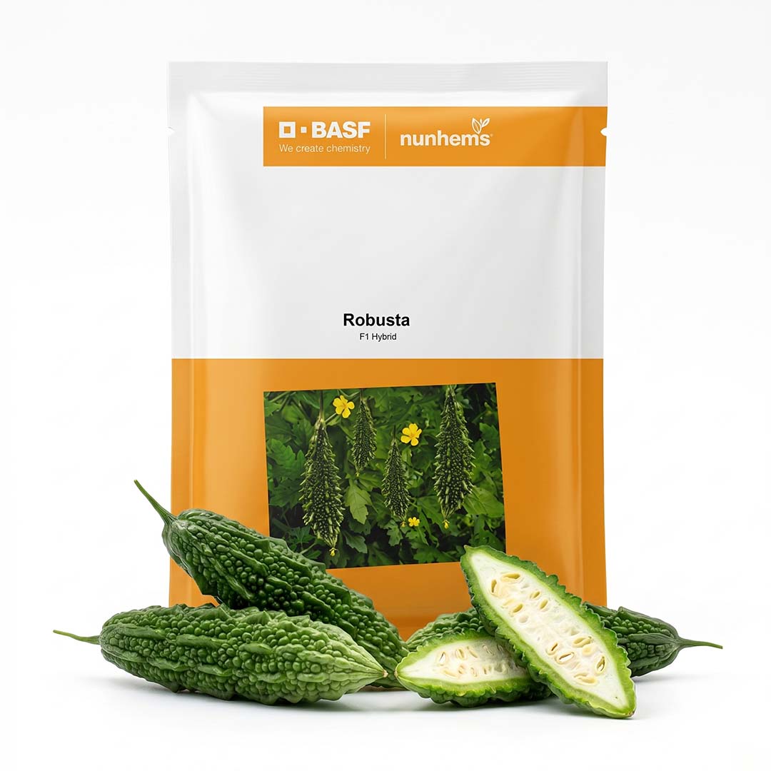 Bitter Gourd Nunhems Robusta Seeds Online | Dhartibeej