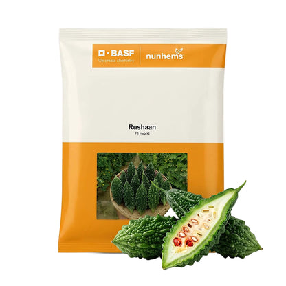 Bitter Gourd Nunhems Rushaan Seeds Online | Dhartibeej