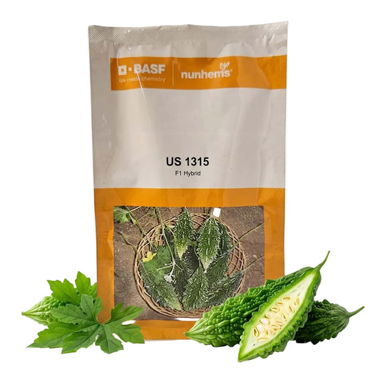 Bitter Gourd Nunhems Us1315 Seeds Online | Dhartibeej