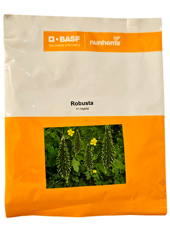 Buy Bitter Gourd Nunhems Robusta Seeds Online in India – Dhartibeej
