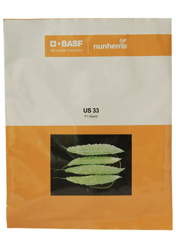 Buy Bitter Gourd Nunhems Us-33 Seeds Online in India – Dhartibeej

