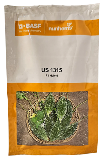 Bitter Gourd Nunhems Us1315 Seeds Online India – Dhartibeej
