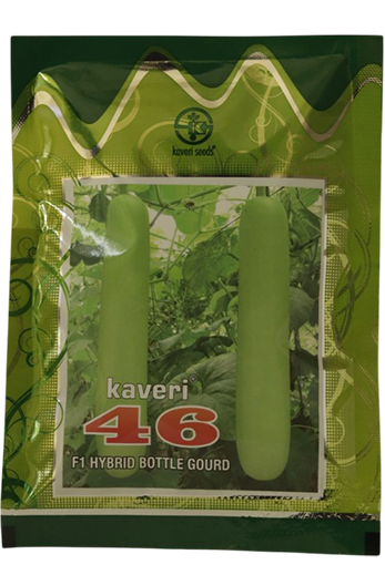 Buy Bottelgourd Kaveri 46 Seeds Online in India – Dhartibeej
