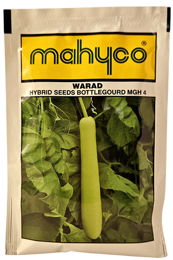 Bottelgourd Mahyco Warad Seeds Online India – Dhartibeej
