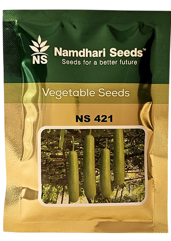Bottelgourd Ns-421 Seeds for High Yield Farming – Dhartibeej
