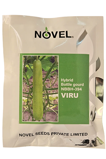 Bottle Gourd Novel NBBH 394 Viru Seeds Online India – Dhartibeej
