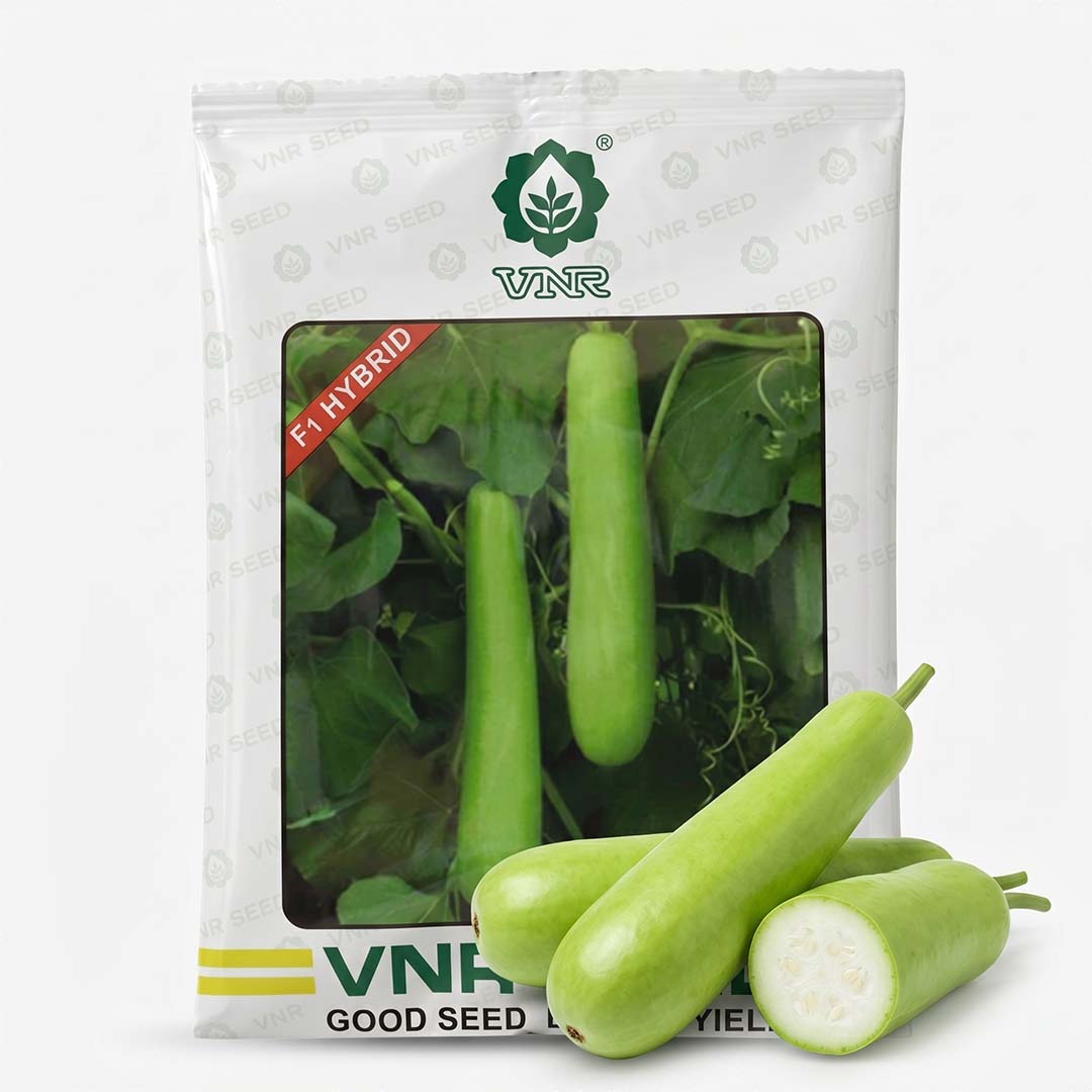 Bottle Gourd Vnr Sarita Seeds Online | Dhartibeej