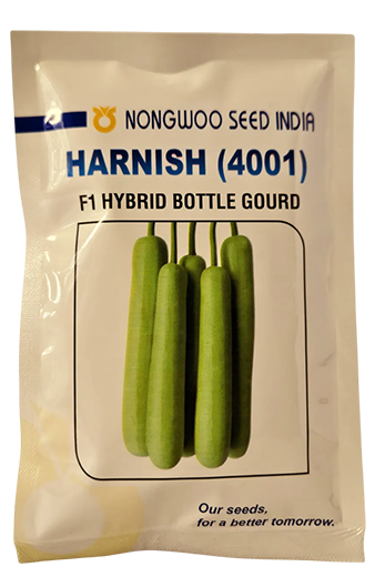 Bottlegourd Nongwoo Harnish Seeds for High Yield Farming – Dhartibeej
