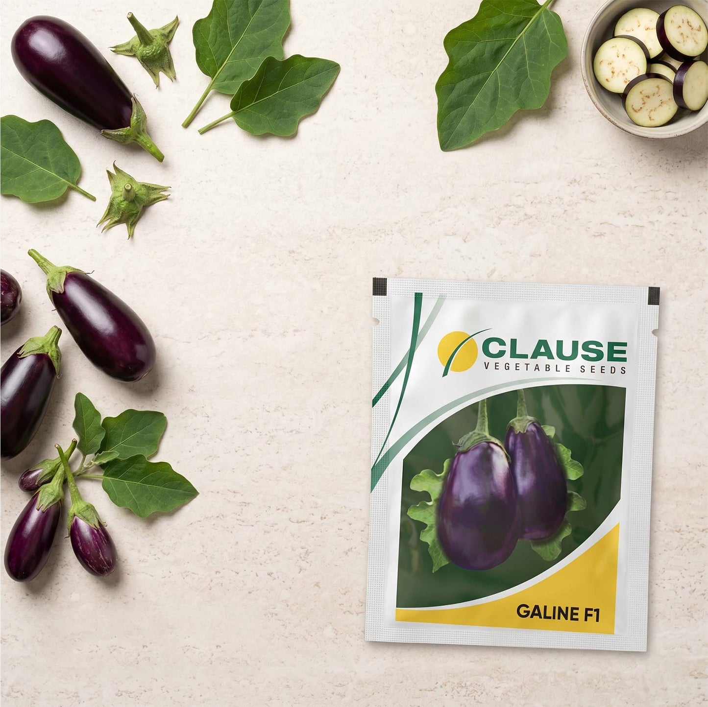 Brinjal Clause Galine Seeds Online | Dhartibeej