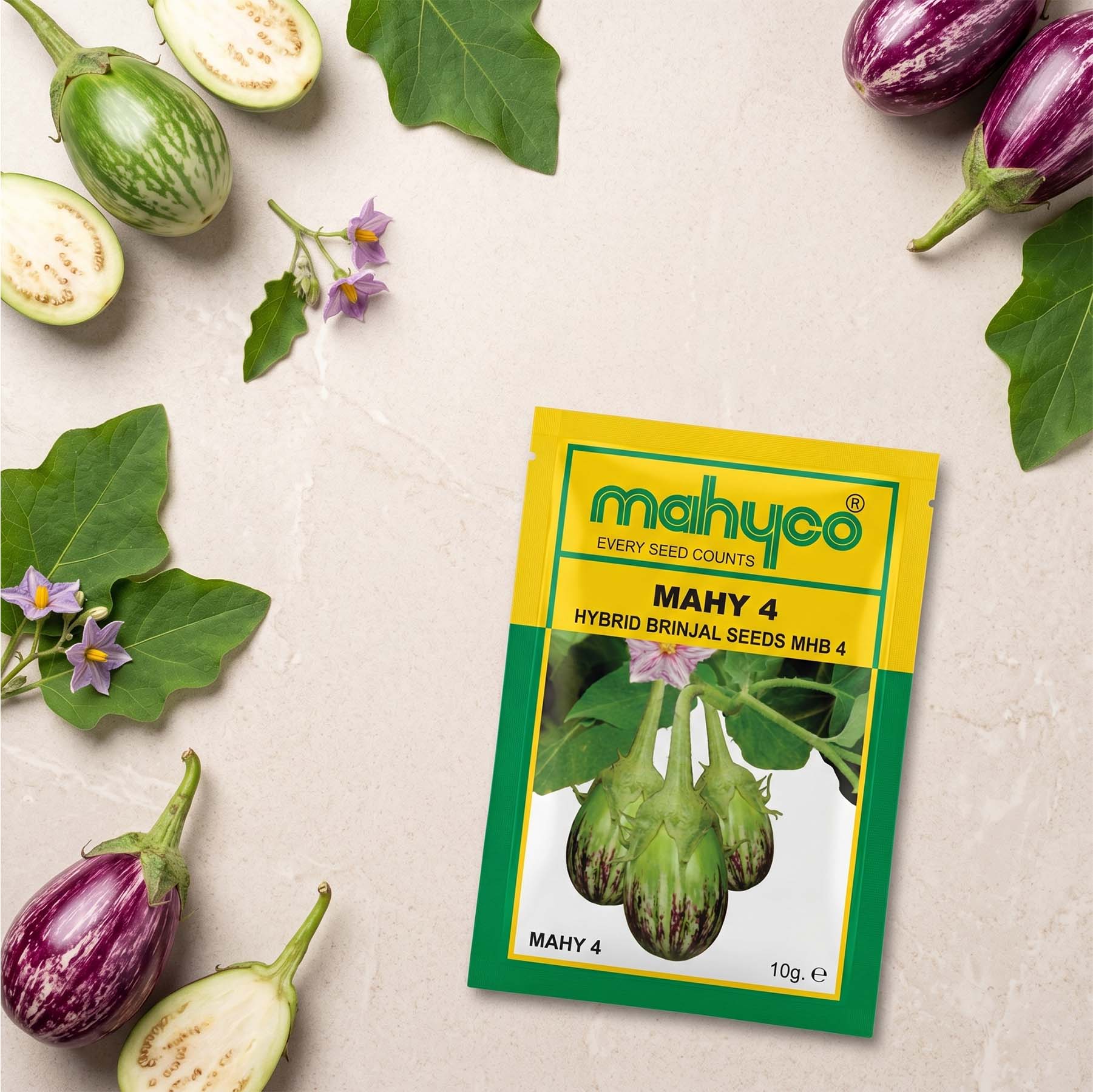 Brinjal Mahyco Mhb-4 Seeds for High Yield Farming | Dhartibeej