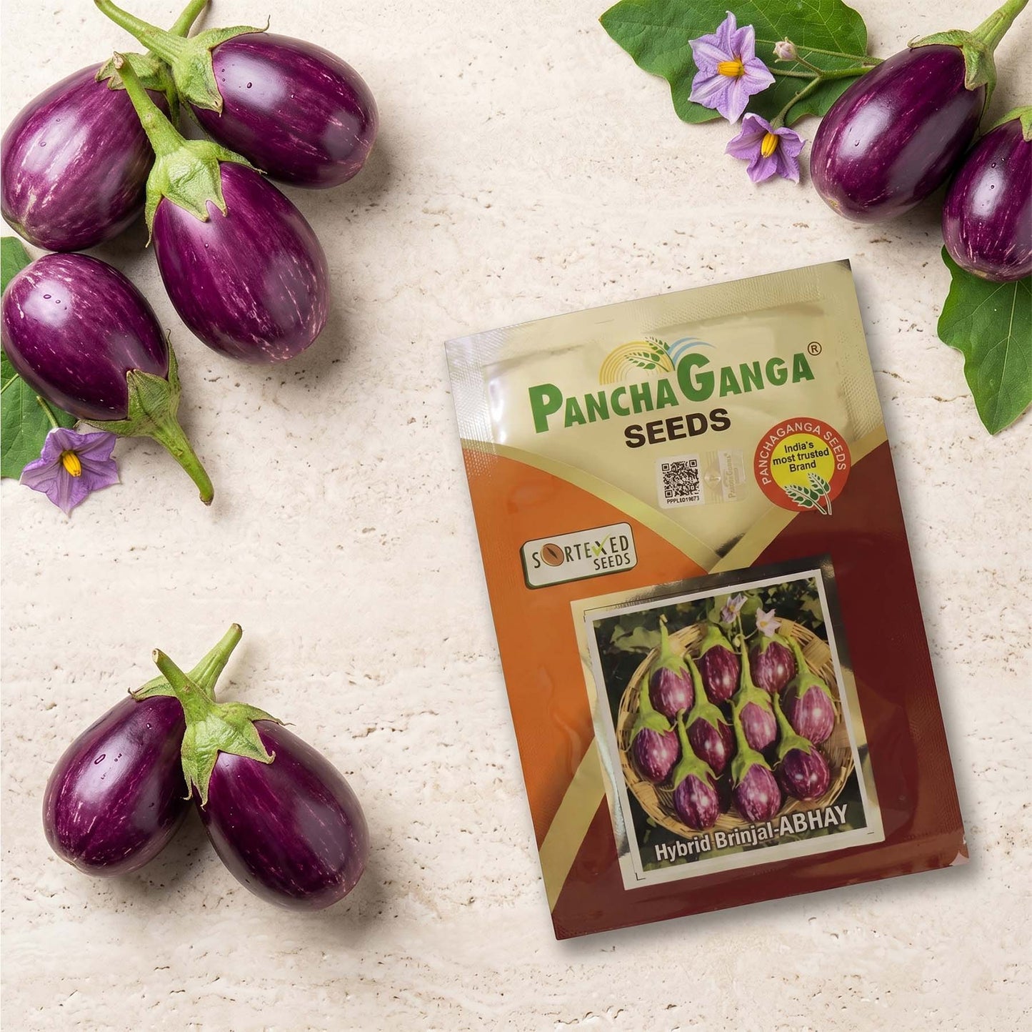 Brinjal Panchaganga Abhay Seeds Online | Dhartibeej
