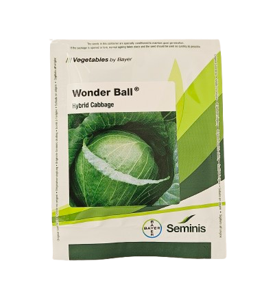 Buy Cabbage Wonder Ball Seeds Online in India – Dhartibeej
