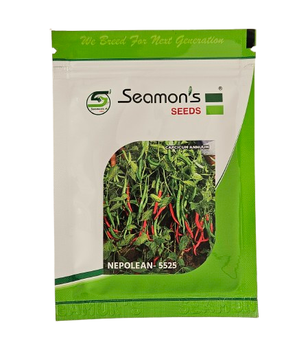 Chilli Seamons Nepolean 5525 Seeds Online India – Dhartibeej