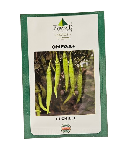 Chilli Namdeo Omega Plus Seeds for High Yield Farming – Dhartibeej
