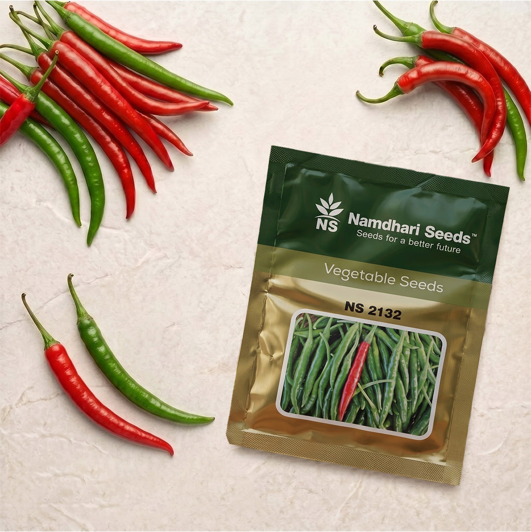 Buy Chilli Ns 2132 Seeds Online | Dhartibeej
