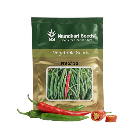 Chilli Ns 2132